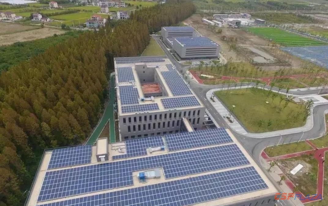 1550122804347984.jpg 12.jpg