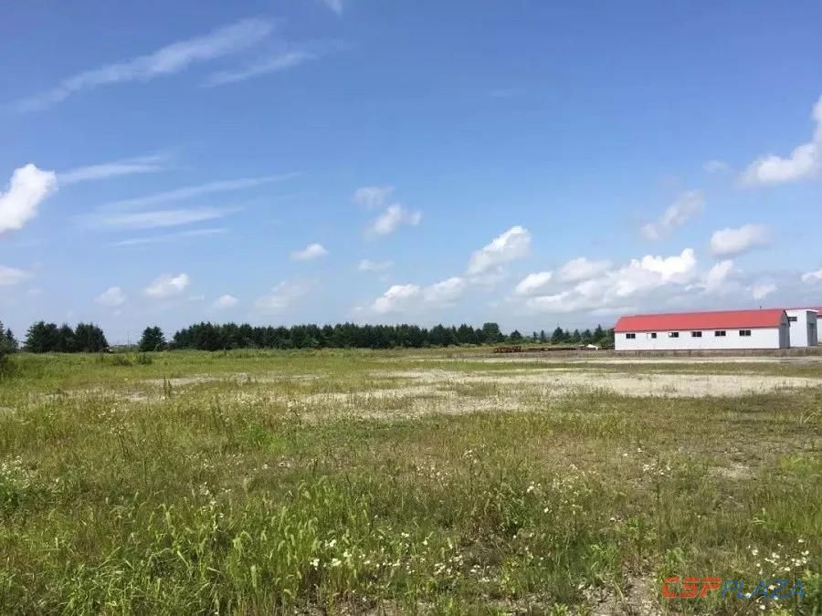 1550632630814186.jpg 6.jpg