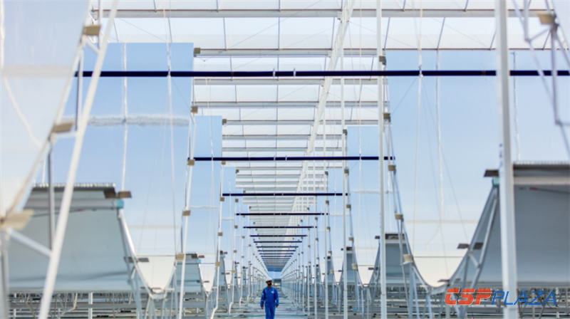 1558075358440324.png 1542179054168130.png