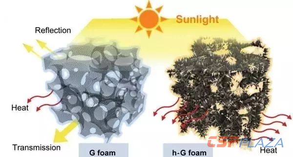 1566387406445177.jpg 640.webp.jpg