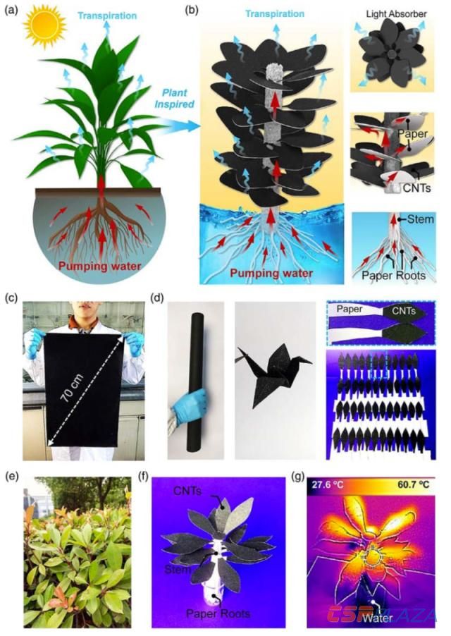 1574745177201820.jpg 2.jpg