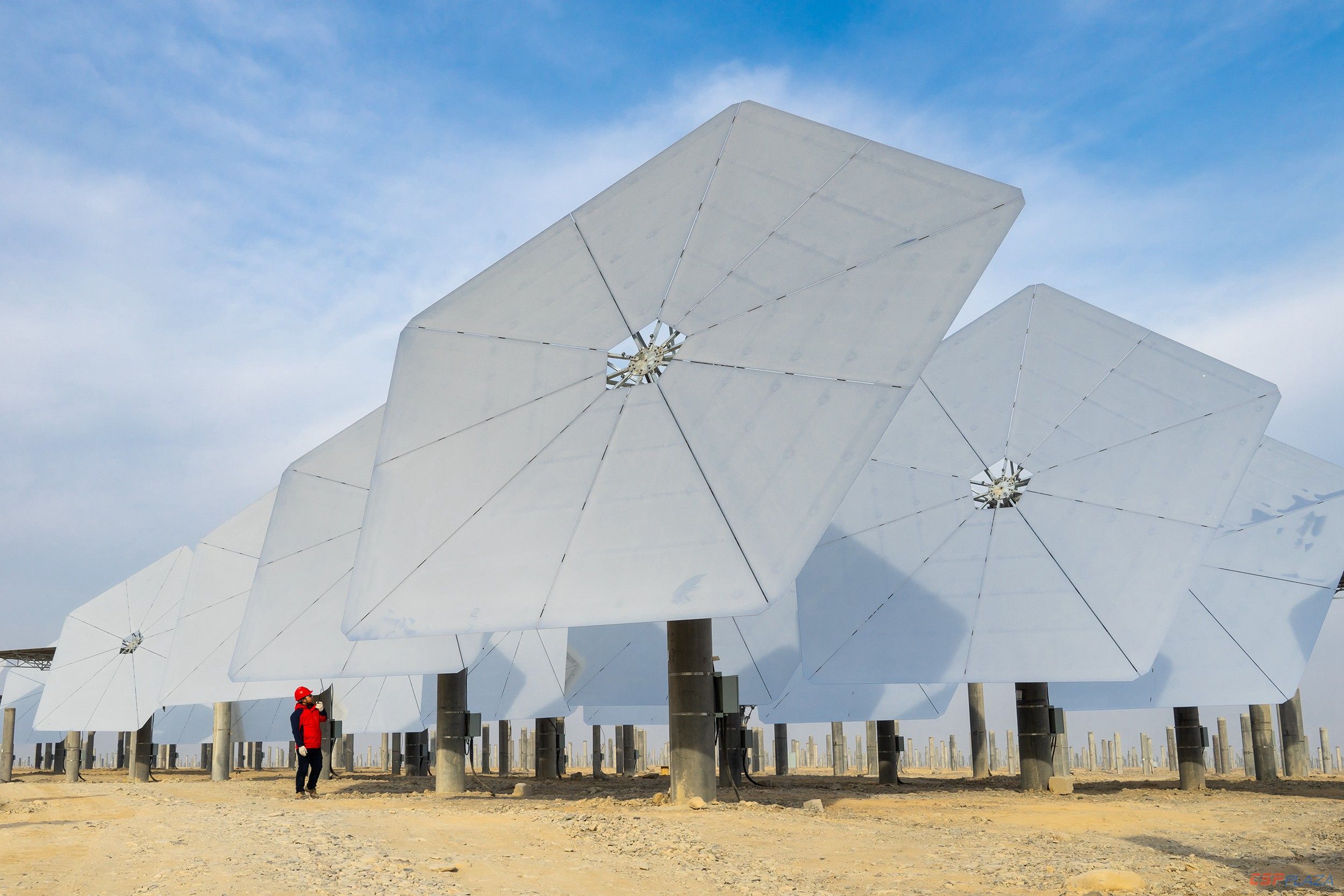 1577949471909887.jpg 1912301937093931984.jpg