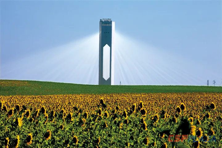 1585812433917966.png 22.png