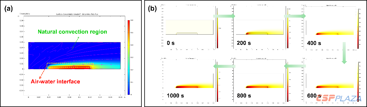 1588924683118953.png 888.png