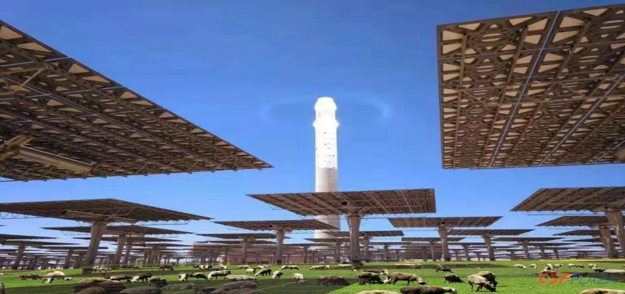 1601267988300271.jpg image020.jpg