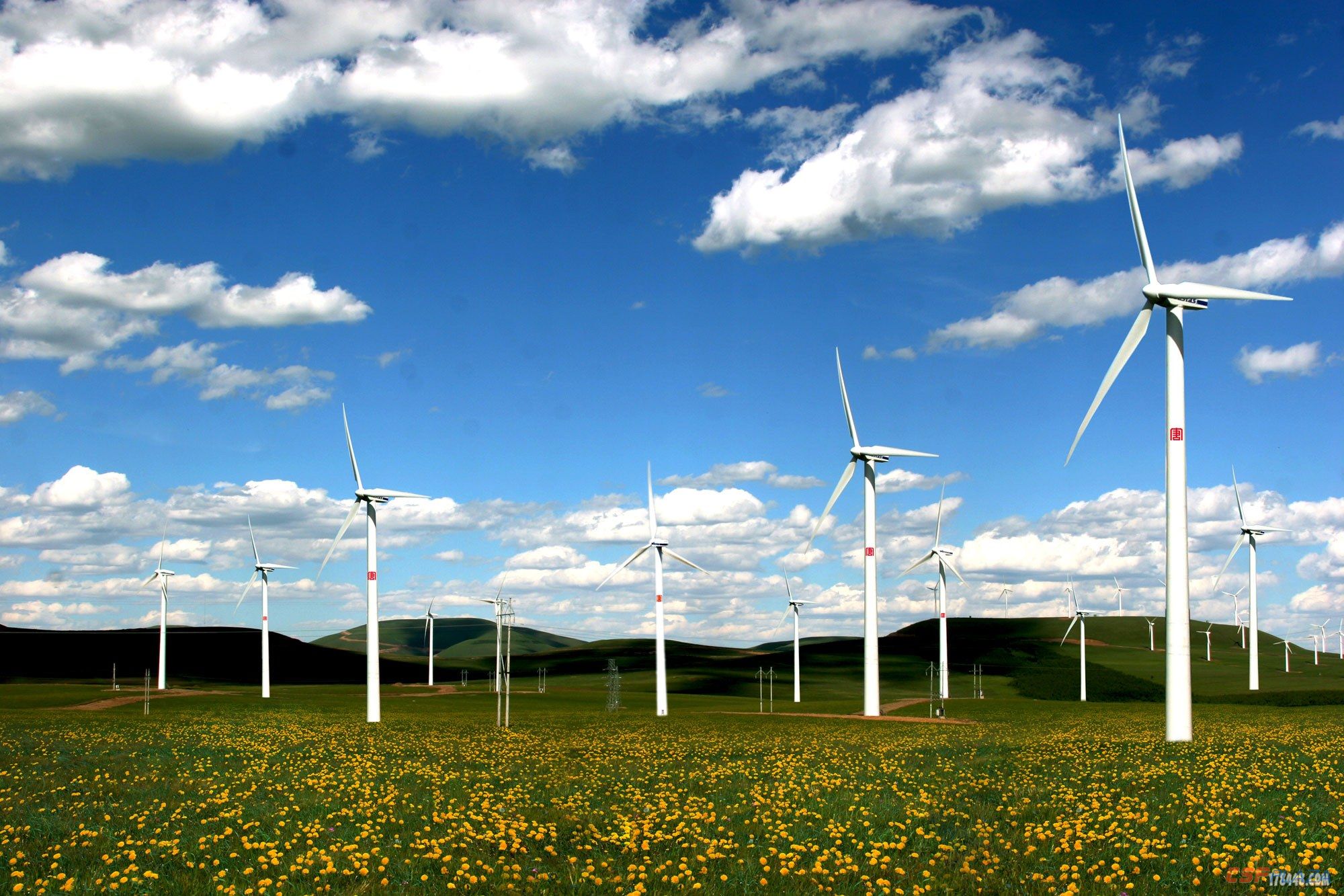 1609742932508372.jpg 013028abmr4d4udgppffbm.jpg