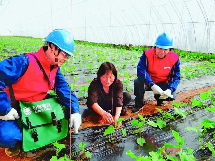 1614243743342089.jpg 2.jpg