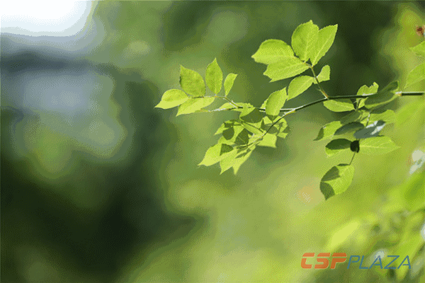 1614319950190433.gif 1.gif