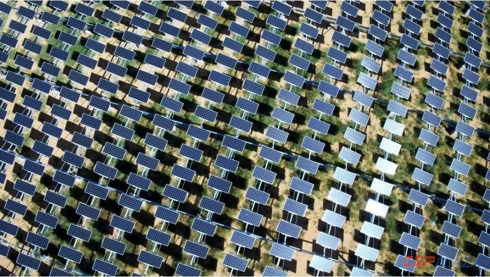 1614319978975586.jpg 3.jpg