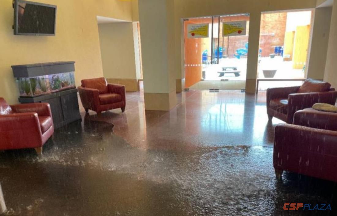 1614749918872500.jpg 3.jpg