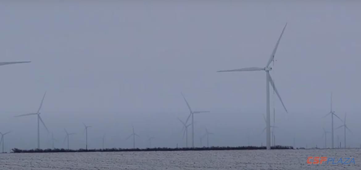 1614749984577952.jpg 6.jpg