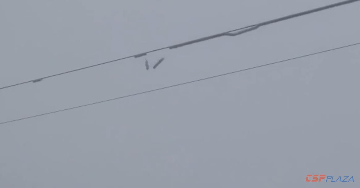 1614750092165367.jpg 10.jpg