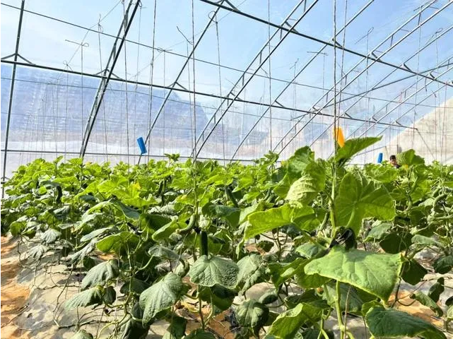 1616984349937977.png image.png