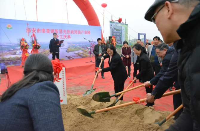 1617020529132490.png image.png