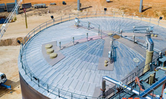 1636101343231168.jpg 183148m6zleed38zxdjjrf.jpg