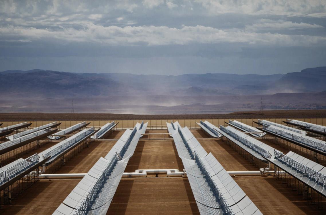 1637561732603433.jpg 1.jpg