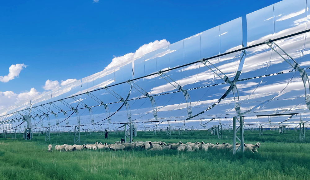 1648725264710405.png image.png