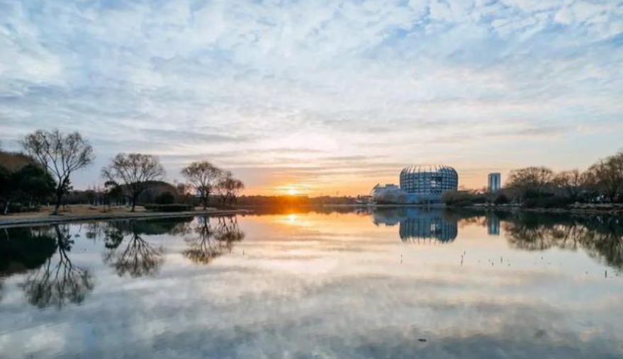 1653442394142965.png image.png