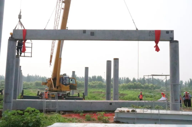 1657160796308448.png image.png