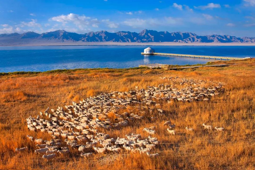 1690160501829869.jpg f72ac6ce768e69c89e1381dee248217e_640_wx_fmt=jpeg&wxfrom=5&wx_lazy=1&wx_co=1.jpg