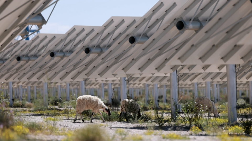 1701396424256629.jpg 2.jpg