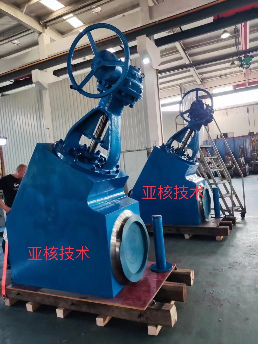 1702368500182342.jpg 亞核4.jpg