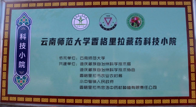 1703553320402225.jpg 3.jpg