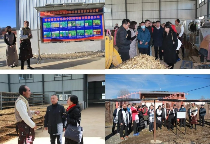 1703553347191749.jpg 5.jpg