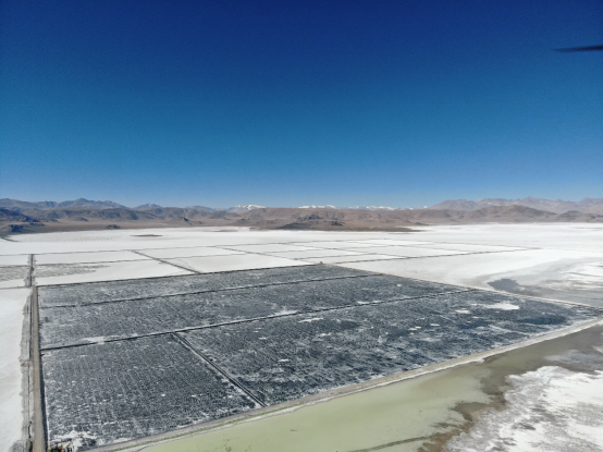 1705288310819817.png 48cdf53f603537d0431fbd9a0966d80b.png