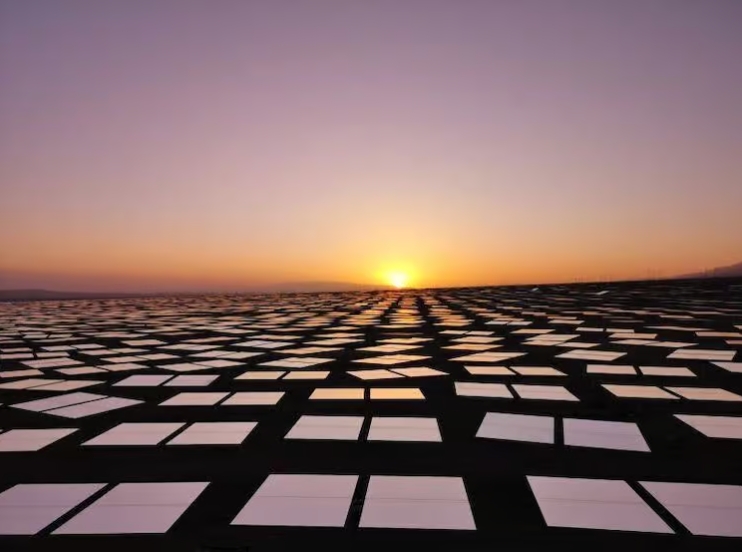 1718076415182369.jpg 3.jpg