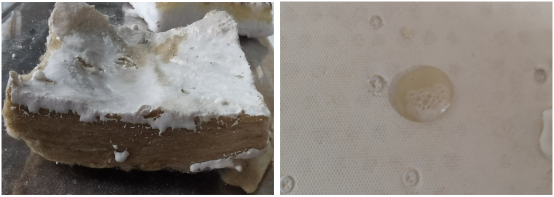 1719224585672443.png image.png