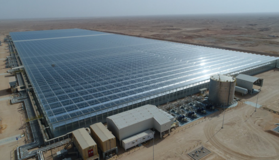 1719285016705602.png image.png