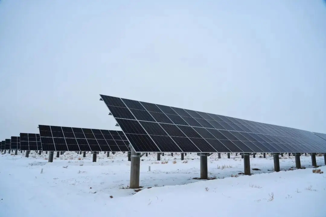 1735105477232279.jpeg e38c04a8bfcae2fc565b373e59f8c5bc_acd72f1e69f64bf3b5a44d90de5208bc.jpeg