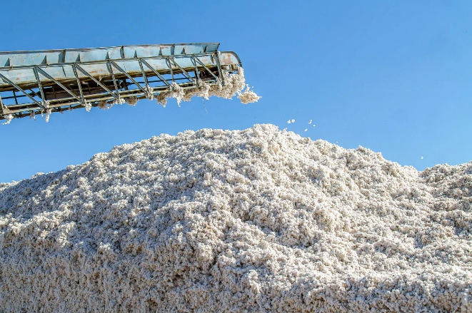 1740014855549864.png image.png