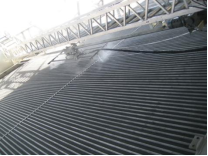 1758762726810925.png 25.9.23 沈陽儀表院 CSPPLAZA平臺會員服務基礎信息收集表(1)1697.png