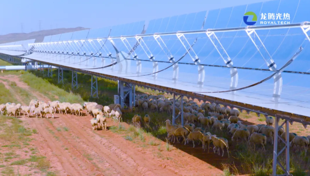 1767168753507991.png image.png